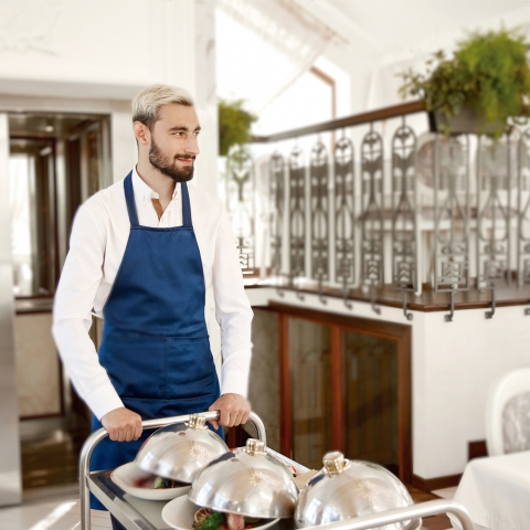 Carro para Alimentos